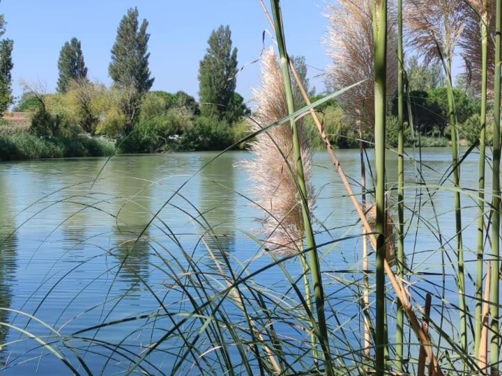 Appartement Residence De Vacances Les Hameaux De Camargue アルル エクステリア 写真